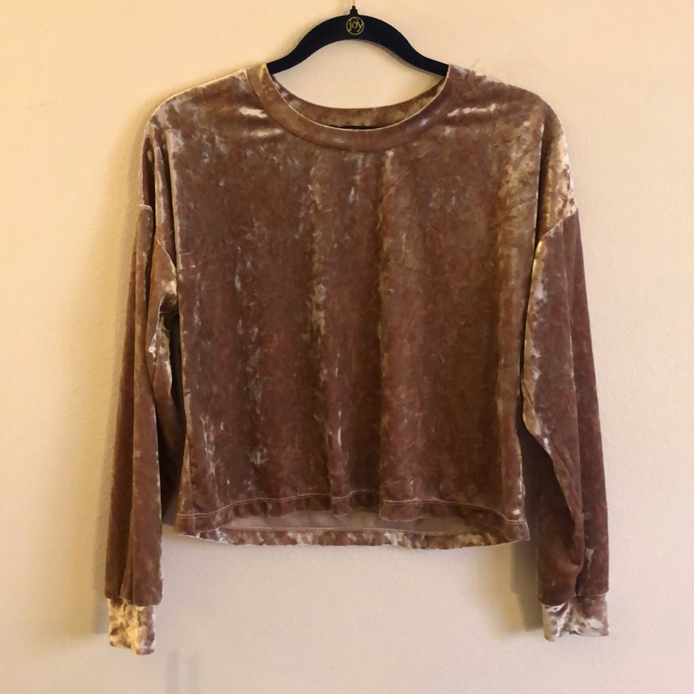 Forever 21 Pink Velvet Long Sleeve Top